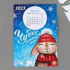 Магнит с календарем 2023 «Чудес», 16 х 11 см - фото 5388840
