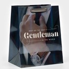 Пакет ламинированный «Джентельмен», радужная голография, MS 18 х 23 х 10 см 7569783