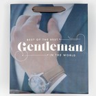 Пакет ламинированный «Джентельмен», радужная голография, MS 18 х 23 х 10 см 7569783