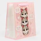 Пакет ламинированный «Котики», радужная голография, ML 23 х 27 х 11,5 см 7569789