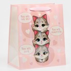 Пакет ламинированный «Котики», радужная голография, ML 23 х 27 х 11,5 см 7569789