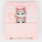 Пакет ламинированный «Котики», радужная голография, ML 23 х 27 х 11,5 см 7569789