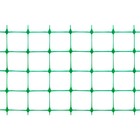 Сетка садовая, 1 × 10 м, ячейка 30 × 25 мм, цвет зелёный, «Кинза» - фото 6982109