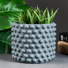 Горшок "Точки" 15*15*12см, серый - фото 801888423