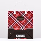 Пакет "Роял красный", мягкий пластик, 25 x 23 см, 100 мкм 9079493