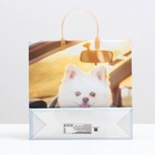 Пакет "Белый шпиц", мягкий пластик, 30 x 30 см, 100 мкм 9079554