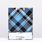 Пакет "Шотландские мотивы", мягкий пластик, 42 x 32 см, 120 мкм 9079823