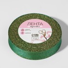 Лента парчовая, 20 мм, 23 ± 1 м, цвет зелёный 7863191
