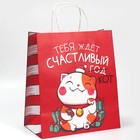 Пакет подарочный крафтовый «Кусь», 28 × 32 × 15 см 7689891