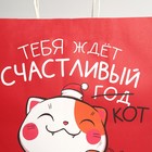 Пакет подарочный крафтовый «Кусь», 28 × 32 × 15 см 7689891