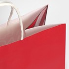 Пакет подарочный крафтовый «Кусь», 28 × 32 × 15 см 7689891