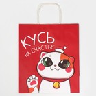 Пакет подарочный крафтовый «Кусь», 28 × 32 × 15 см 7689891