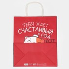 Пакет подарочный крафтовый «Кусь», 28 × 32 × 15 см 7689891