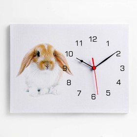 Часы-картина настенные "Кролик", плавный ход, 30 х 40 см, 1 АА