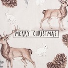 Полотенце "Этель" Deer and bumps 40х73 см, 100% хл, саржа 190 гр/м2 - фото 801901294