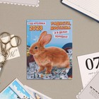 Календарь отрывной на магните "Радости, Достатка!" 13х9,5см, 2023 год, кролик - фото 6922675