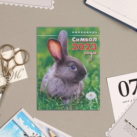 Календарь отрывной на магните "Символ 2023 Года!" 13х9,5см, кролик в траве