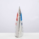 Термопакет с печатью трехслойный с донной складкой 42 х 45+14 см 7777183