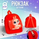 Рюкзак детский плюшевый «Зайка», 22 х 17 см с карманом - фото 7487731