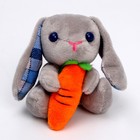 Мягкая игрушка «Кролик с морковкой», на присоске, 8 см, цвета МИКС