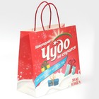 Пакет подарочный «Чудо не случится», 22 × 22 × 11 см 7661223