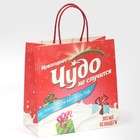Пакет подарочный «Чудо не случится», 22 × 22 × 11 см 7661223