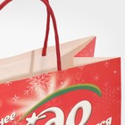 Пакет подарочный «Чудо не случится», 22 × 22 × 11 см 7661223