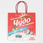 Пакет подарочный «Чудо не случится», 22 × 22 × 11 см 7661223
