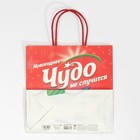 Пакет подарочный «Чудо не случится», 22 × 22 × 11 см 7661223