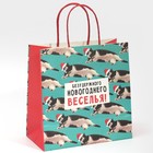 Пакет подарочный «Веселье», 22 × 22 × 11 см 7661230