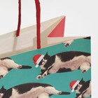 Пакет подарочный «Веселье», 22 × 22 × 11 см 7661230