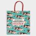 Пакет подарочный «Веселье», 22 × 22 × 11 см 7661230