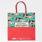 Пакет подарочный «Веселье», 22 × 22 × 11 см 7661230