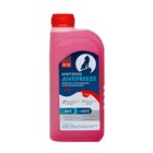 Антифриз Winterize G12, красный -40, 1 кг 9126985 - фото 113783
