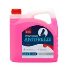Антифриз Winterize G12+, розовый -40, 3 кг 9126990 - фото 113788