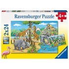 Набор пазлов Ravensburger «Добро пожаловать взоопарк», 2 штуки, 24элемента 9128494 - фото 7249450