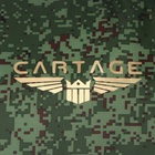 Термосумка Cartage Т-18, камуфляж пиксель, 17-18 литров, 35х21х24 см 9096739 Термосумка Cartage Т-18, камуфляж пиксель, 17-18 литров, 35х21х24 см 9096739