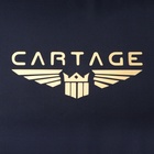Термосумка Cartage Т-17, синяя, 17-18 литров, 35х21х24 см 9104753 Термосумка Cartage Т-17, синяя, 17-18 литров, 35х21х24 см 9104753