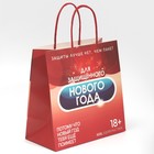 Пакет подарочный «Защищенный Новый год», 22 × 22 × 11 см 7661217