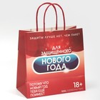 Пакет подарочный «Защищенный Новый год», 22 × 22 × 11 см 7661217