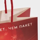 Пакет подарочный «Защищенный Новый год», 22 × 22 × 11 см 7661217