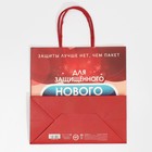 Пакет подарочный «Защищенный Новый год», 22 × 22 × 11 см 7661217