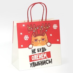 Пакет подарочный «Не будь оленем», 22 × 22 × 11 см