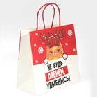 Пакет подарочный «Не будь оленем», 22 × 22 × 11 см 7661234