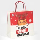 Пакет подарочный «Не будь оленем», 22 × 22 × 11 см 7661234