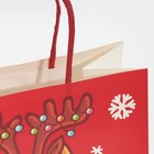 Пакет подарочный «Не будь оленем», 22 × 22 × 11 см 7661234