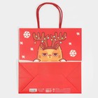 Пакет подарочный «Не будь оленем», 22 × 22 × 11 см 7661234