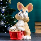 Копилка "Кролик с барабаном" цветной 34х23х20см - фото 6925763
