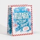 Пакет ламинированный вертикальный «За хорошее поведение», MS 18 × 23 × 10 см - фото 802136513