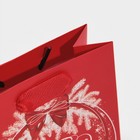 Пакет ламинированный вертикальный «Блестящего Нового Года», 12 × 15 × 5,5 см 7695812